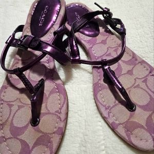 Purple Coach Sandals